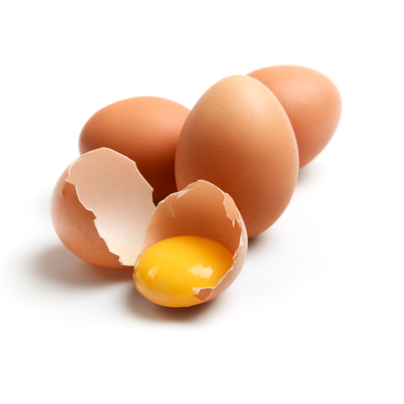 Protein